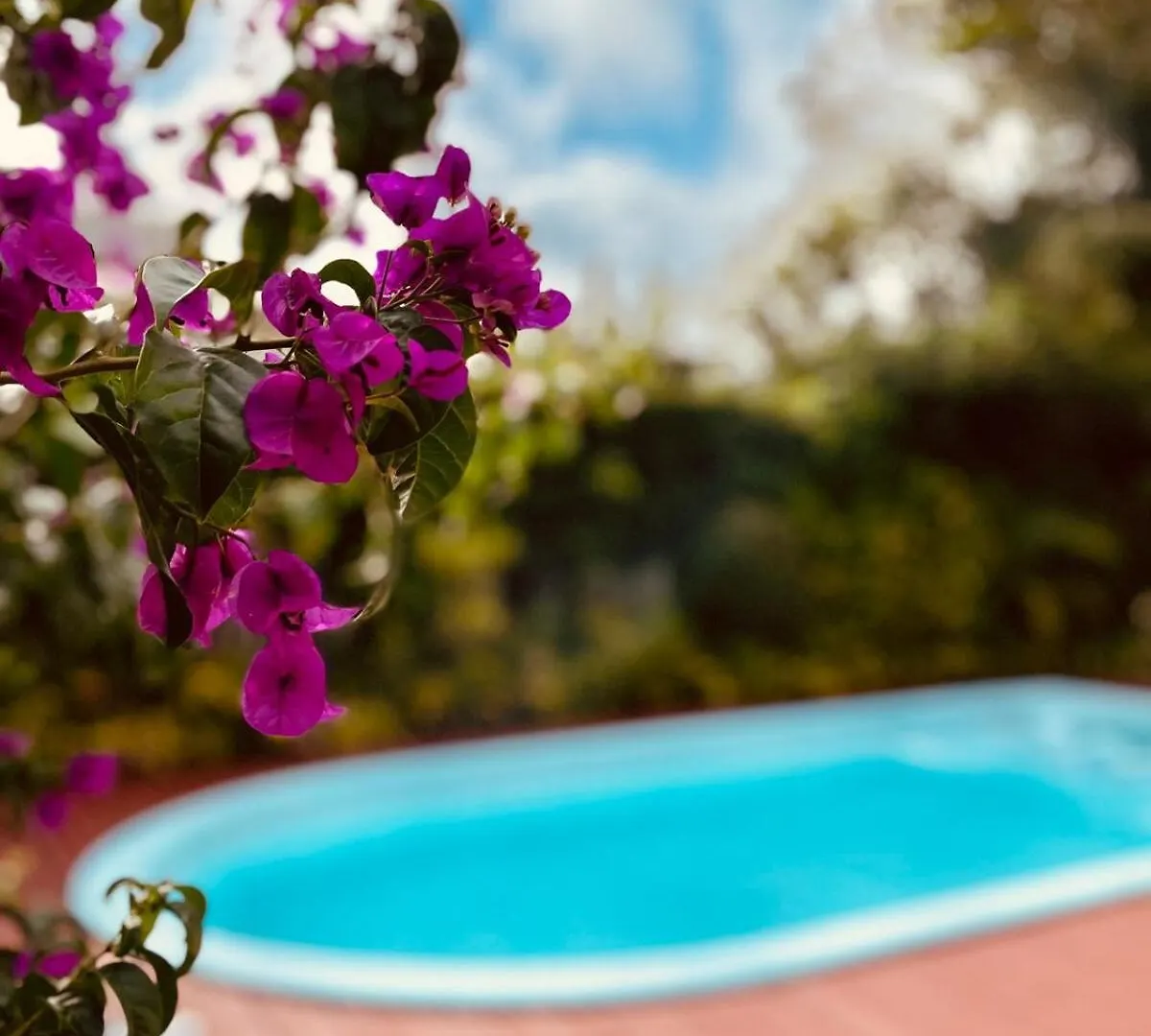 הוילה Florianópolis Casa Oasis | Jurere | 400M Do Mar | 6 Qtos Com A/C